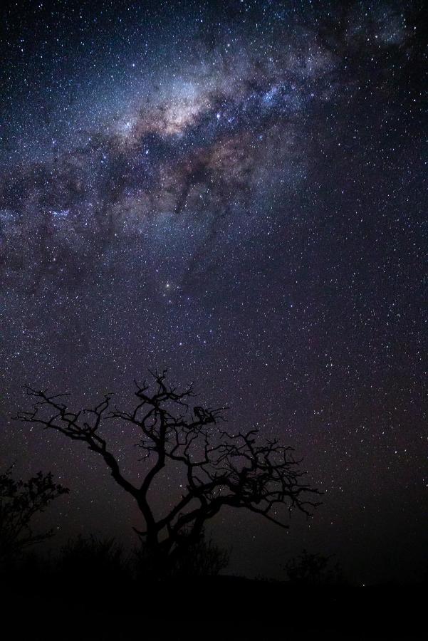 Nedile Lodge Welgevonden Game Reserve Bagian luar foto