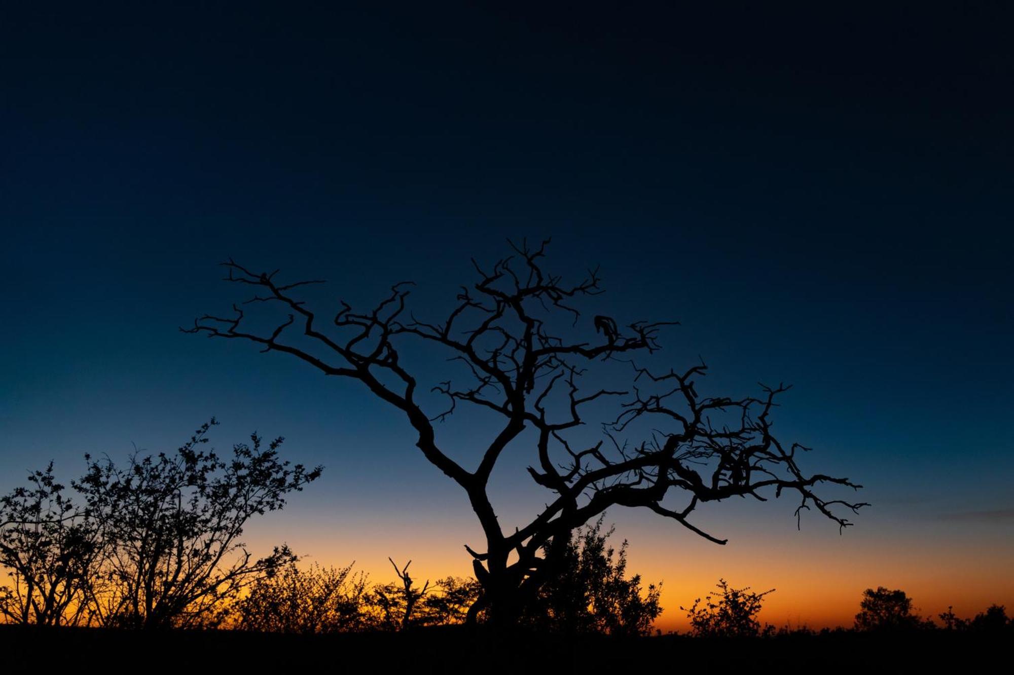Nedile Lodge Welgevonden Game Reserve Bagian luar foto